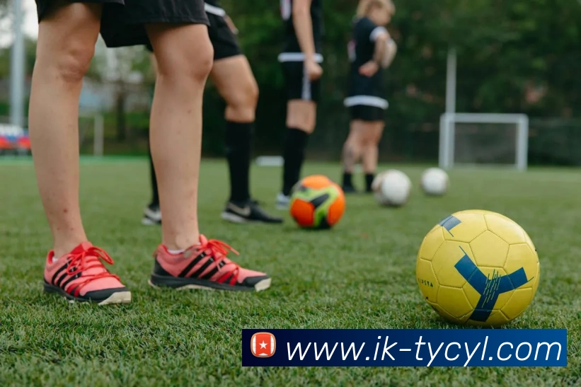 App Interface Preview